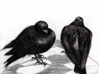 Serious Pigeon Situation, 2012
